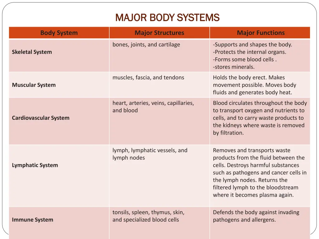 major body systems major body systems