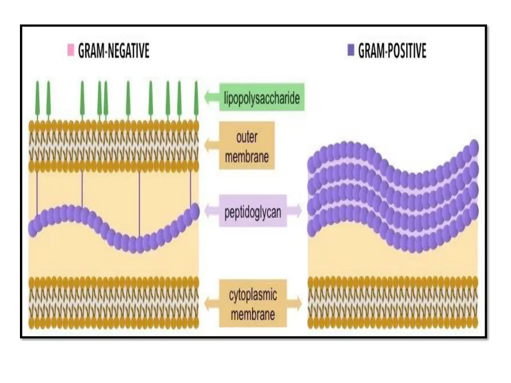 slide5