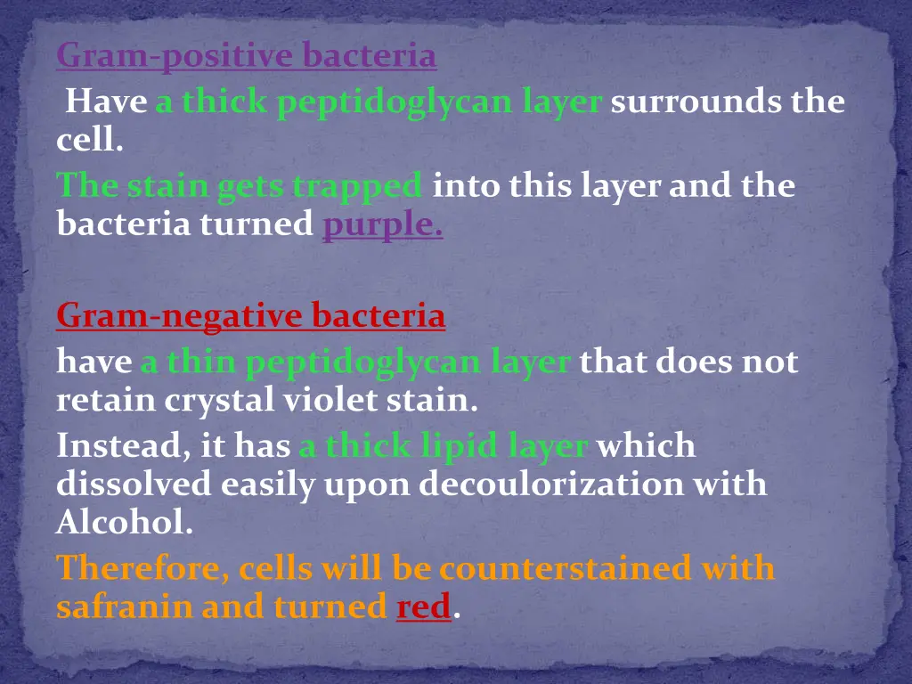 gram positive bacteria have a thick peptidoglycan