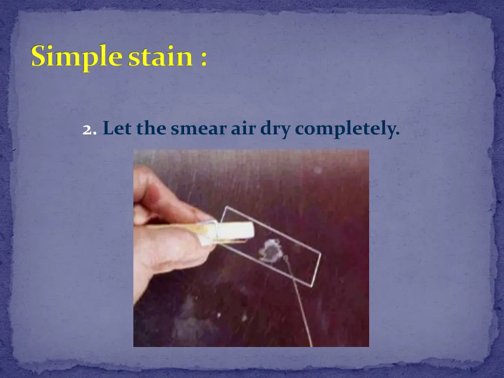 simple stain 3