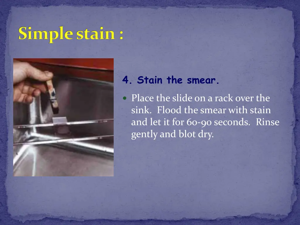 simple stain 5