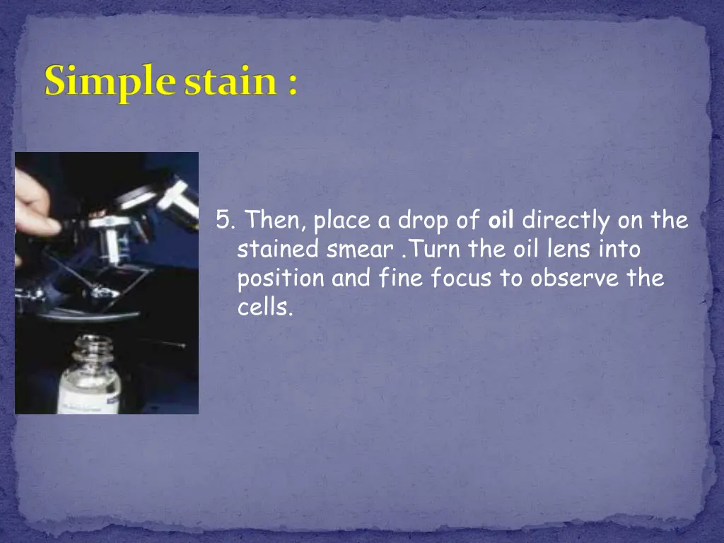 simple stain 6