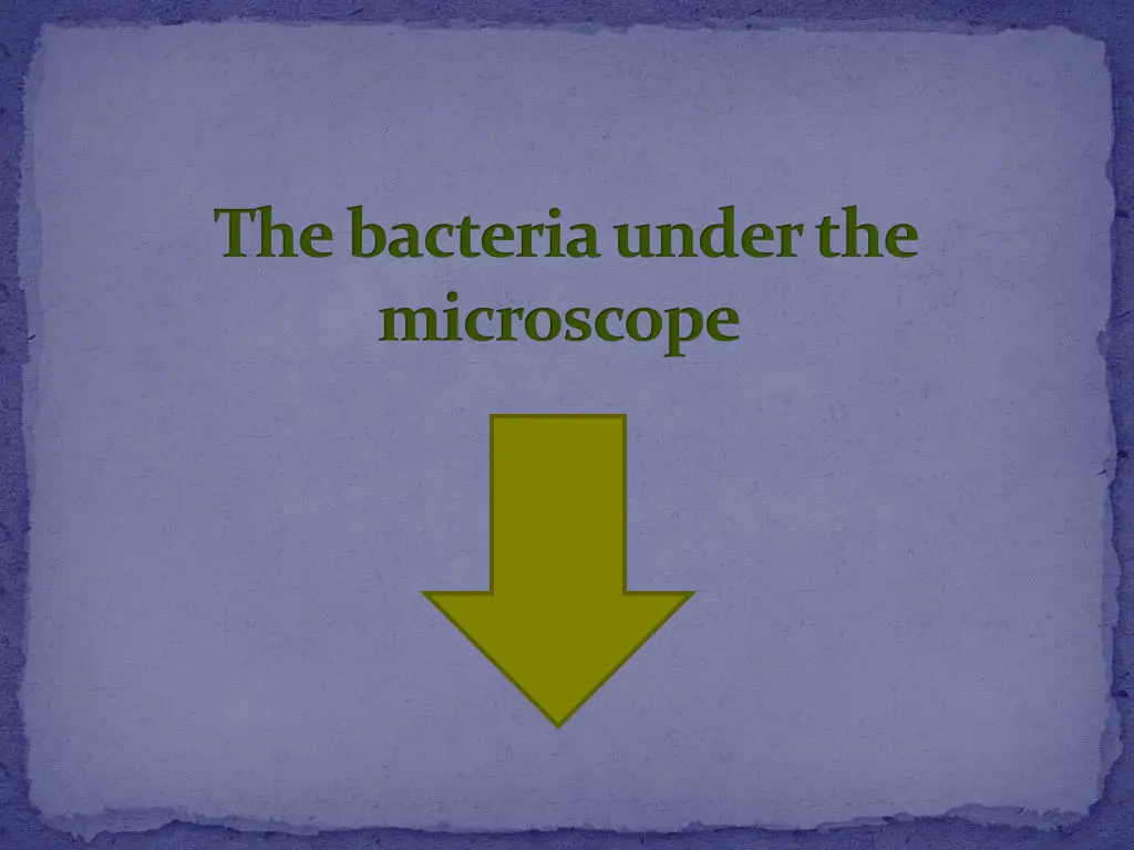 the bacteria under the microscope