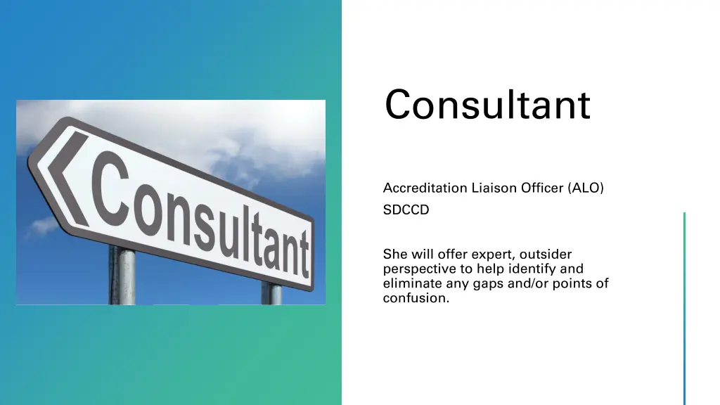 consultant