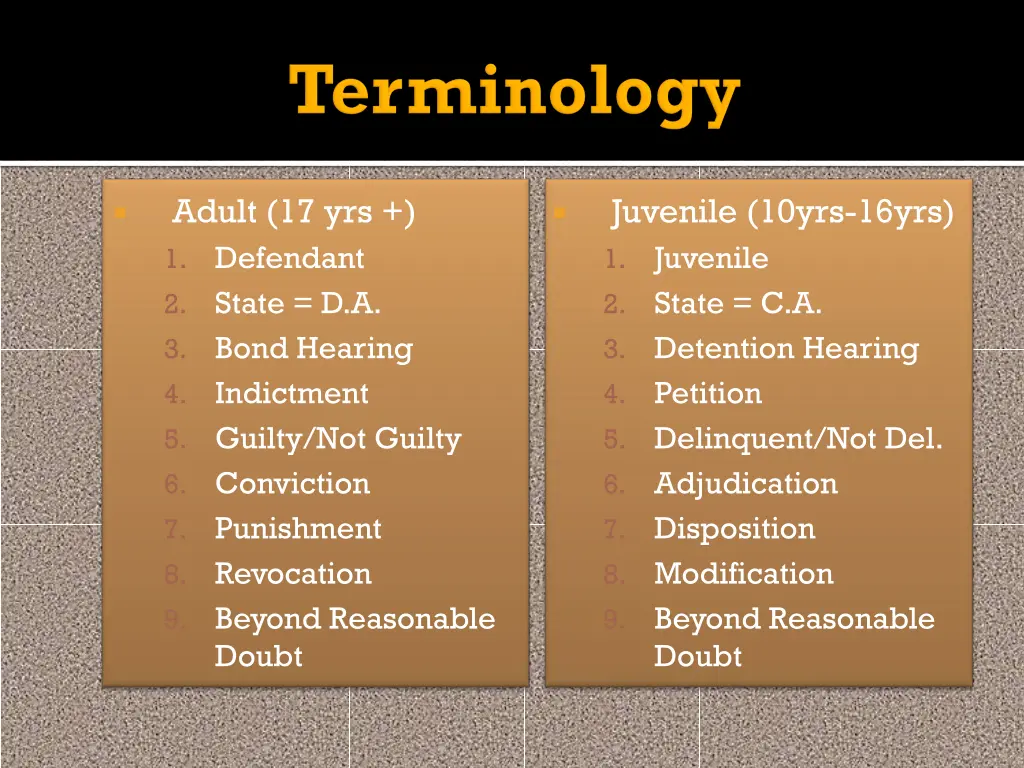 adult 17 yrs 1 defendant 2 state d a 3 bond