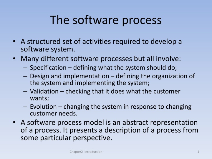 the software process