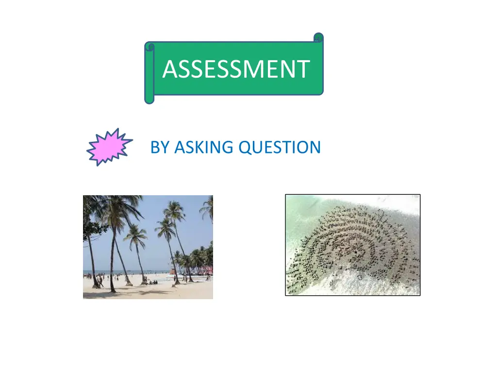 assessment