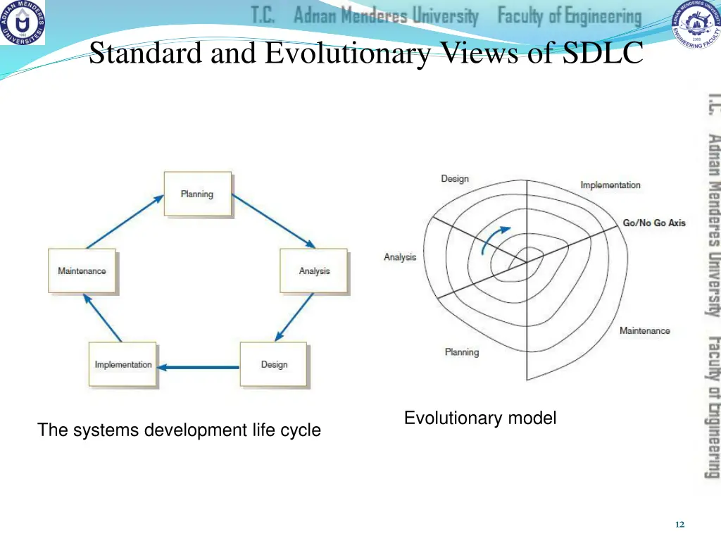 standard and evolutionary views of sdlc