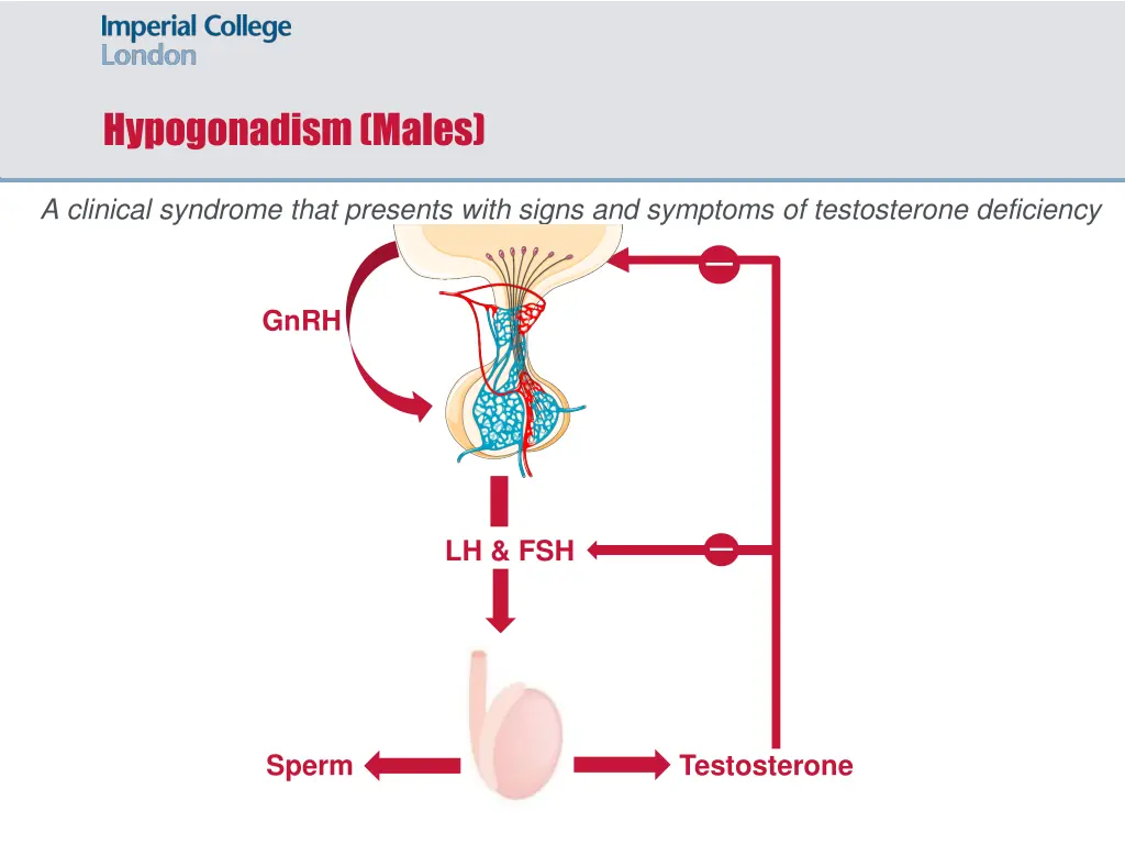 hypogonadism males 1