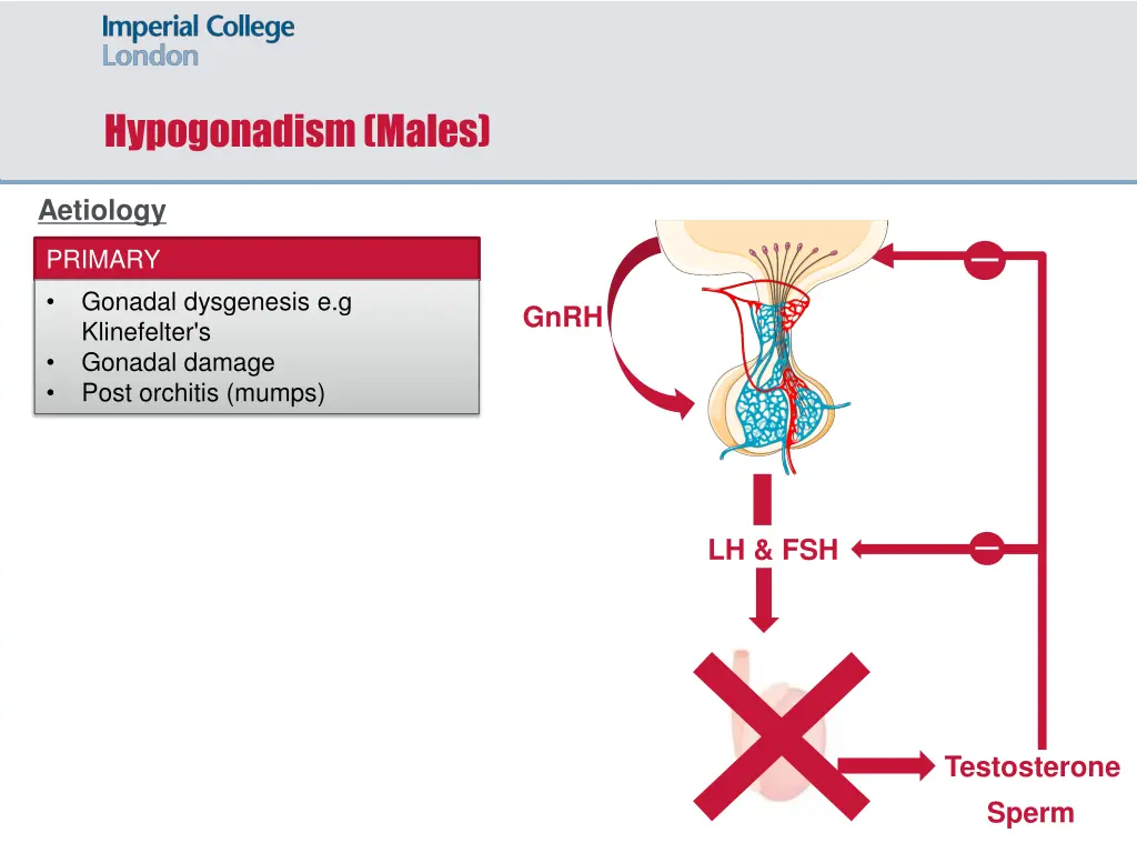 hypogonadism males 2