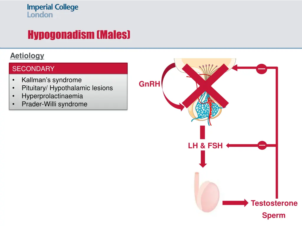 hypogonadism males 3