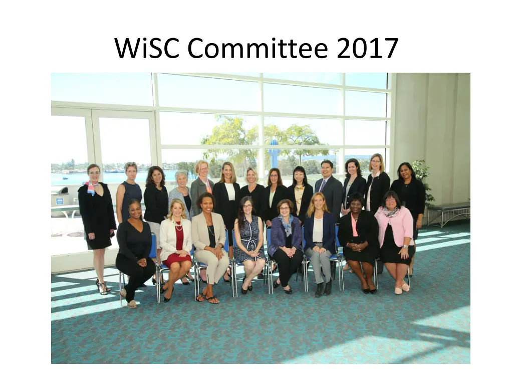 wisc committee 2017