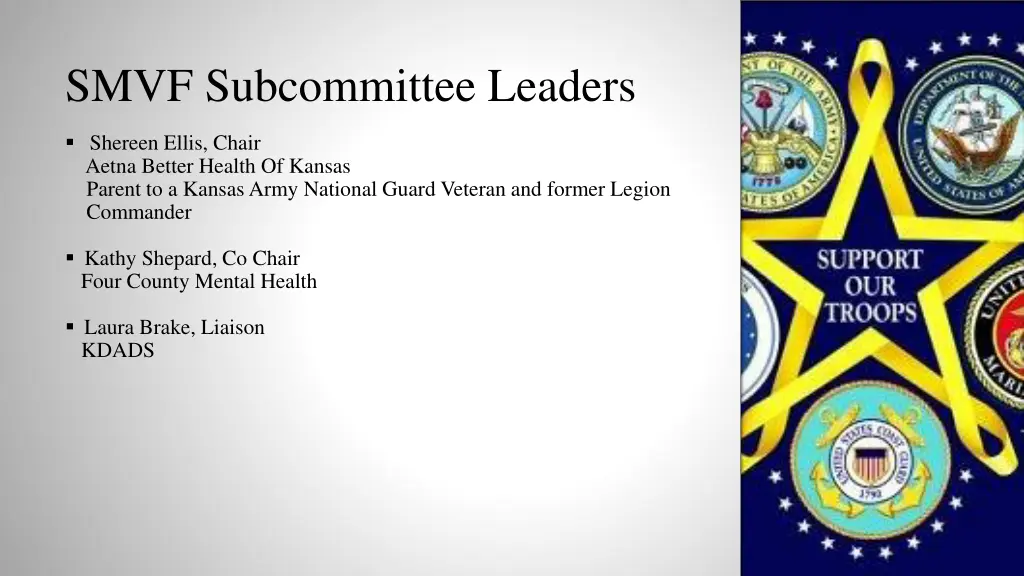 smvf subcommittee leaders