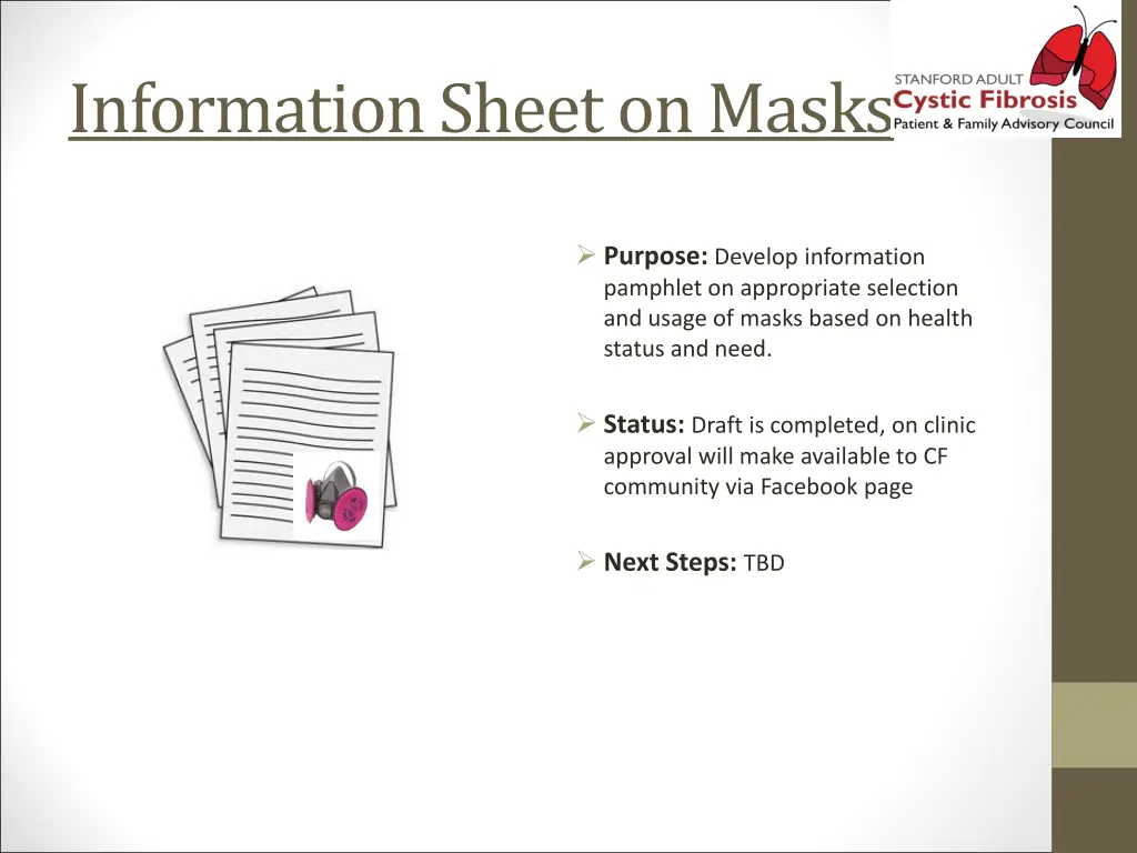 information sheet on masks