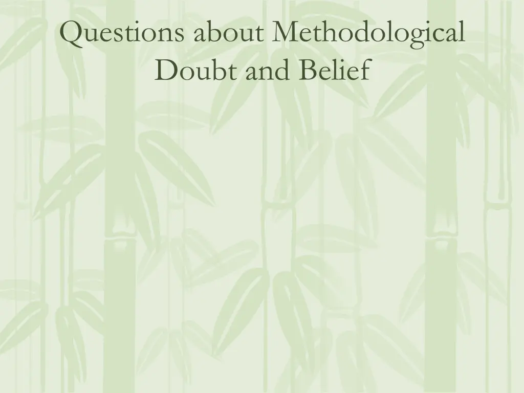 questions about methodological doubt and belief