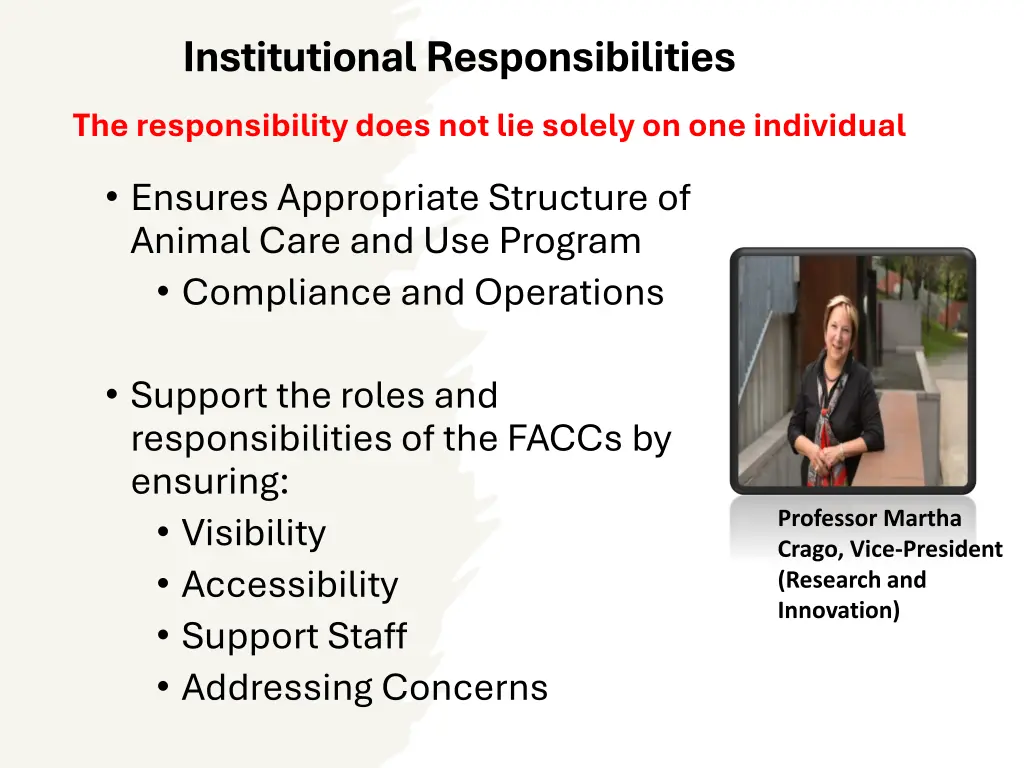 institutional responsibilities