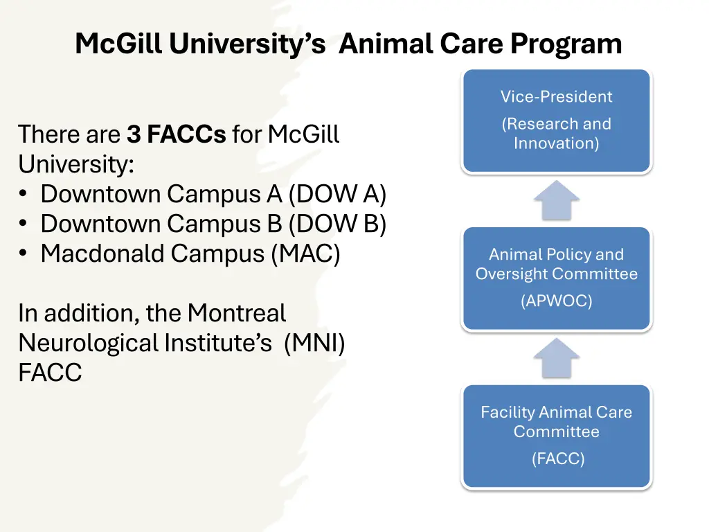 mcgill university s animal care program