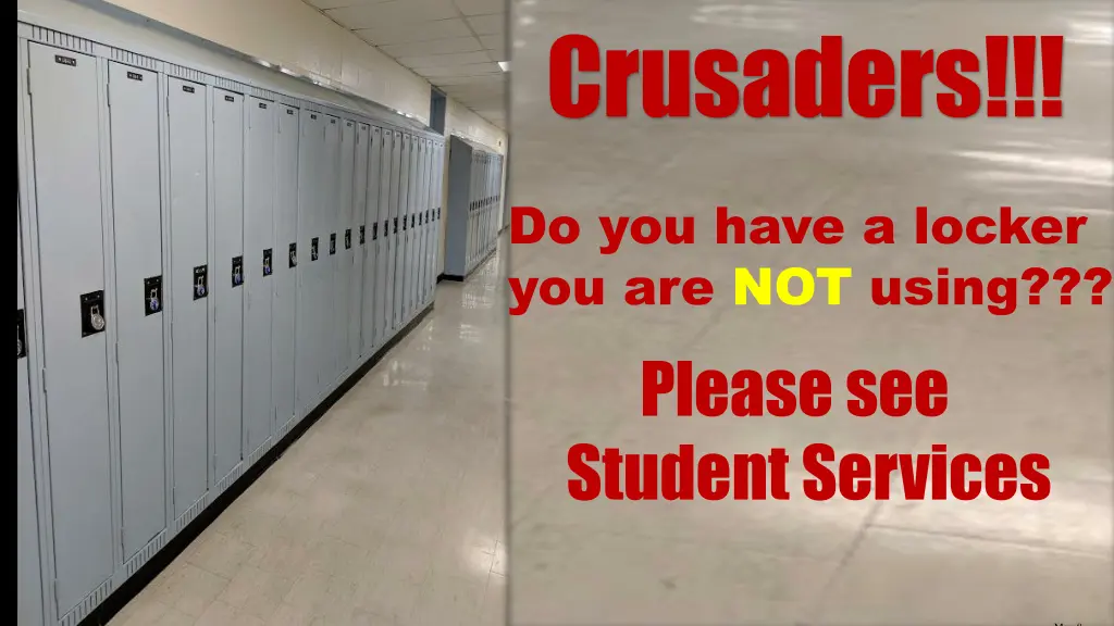 crusaders