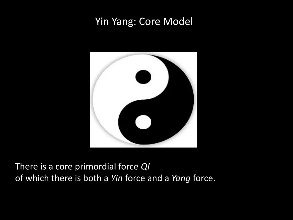 yin yang core model