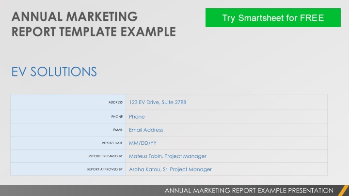 annual marketing report template example