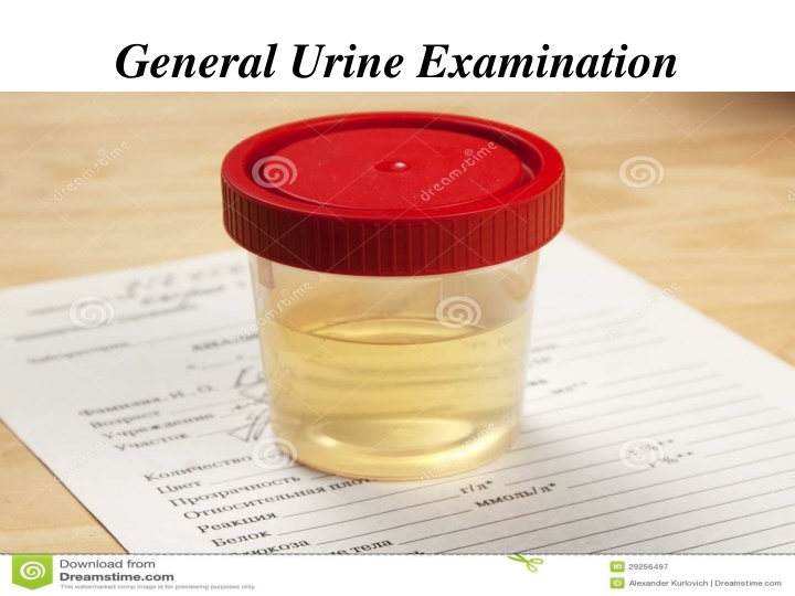 general urine examination