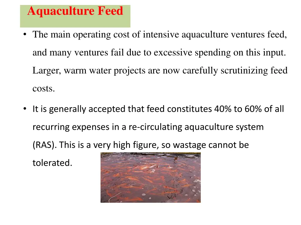 aquaculture feed