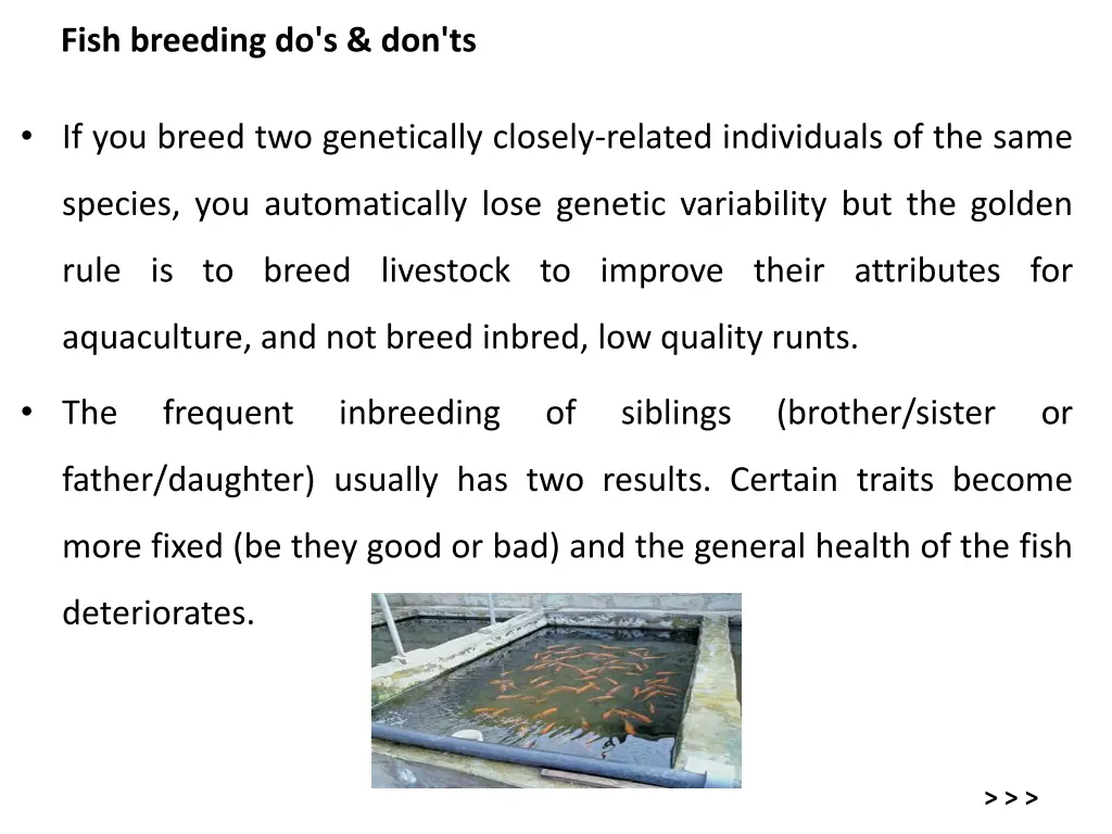 fish breeding do s don ts