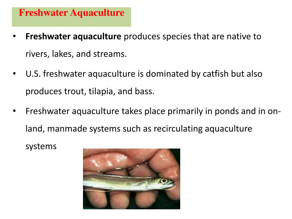 freshwater aquaculture