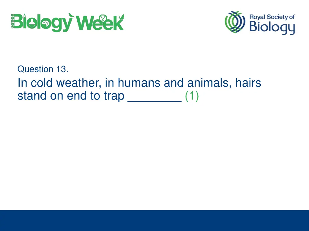 question 13 in cold weather in humans and animals