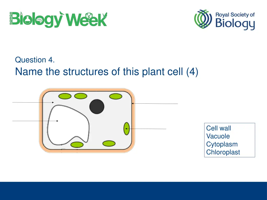 question 4 name the structures of this plant cell