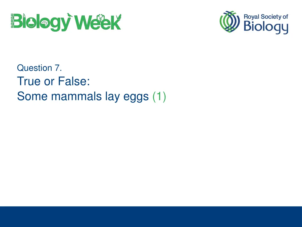 question 7 true or false some mammals lay eggs 1