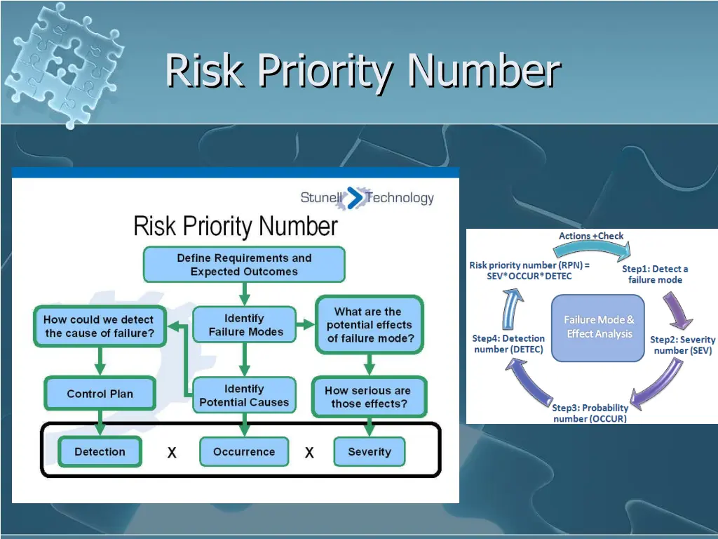 risk priority number