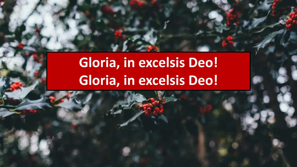 gloria in excelsis deo gloria in excelsis deo 1