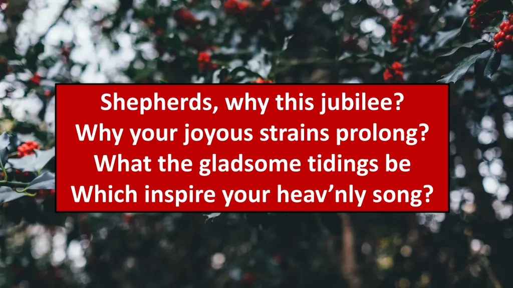 shepherds why this jubilee why your joyous