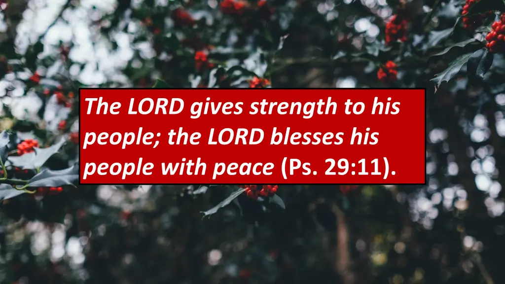 the lord gives strength to his people the lord