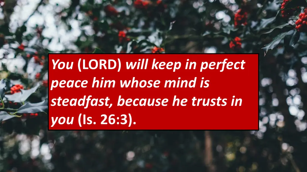 you lord will keep in perfect peace him whose