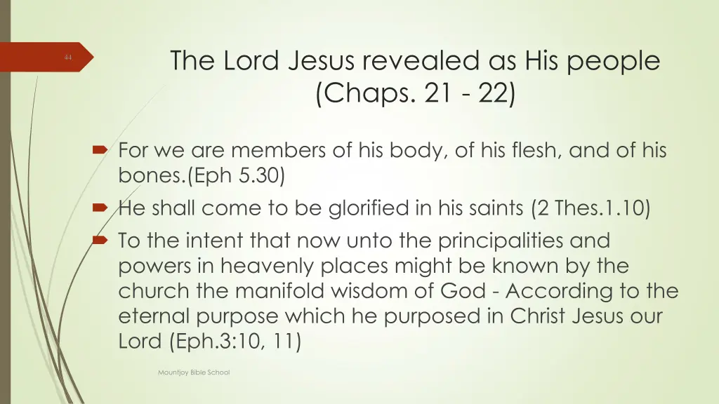 the lord jesus revealed as his people chaps 21 22 2