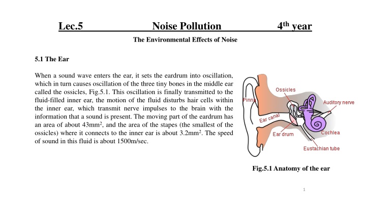 lec 5 noise pollution 4 th year