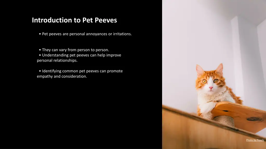 introduction to pet peeves