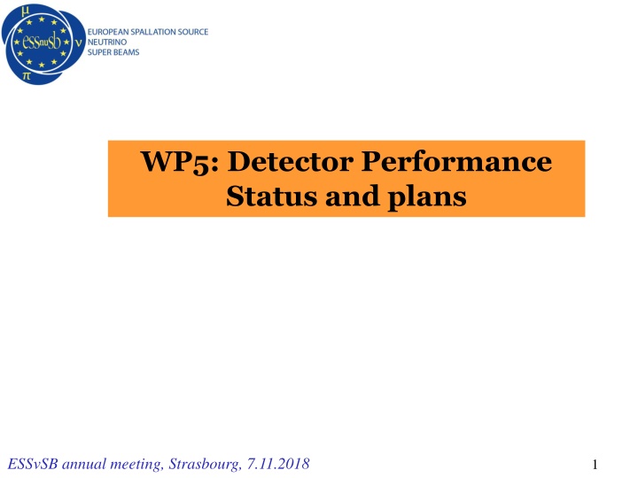 wp5 detector performance status and plans