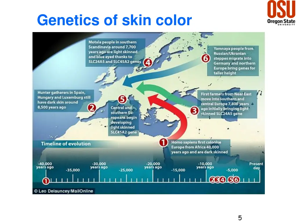 genetics of skin color