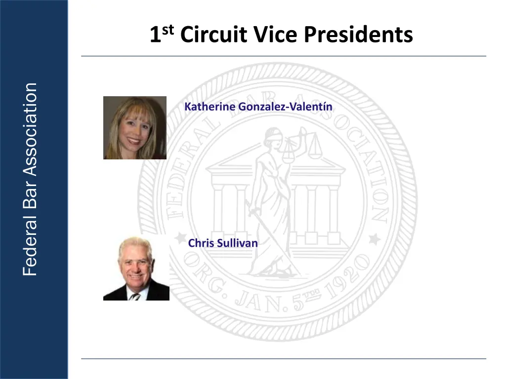 1 st circuit vice presidents