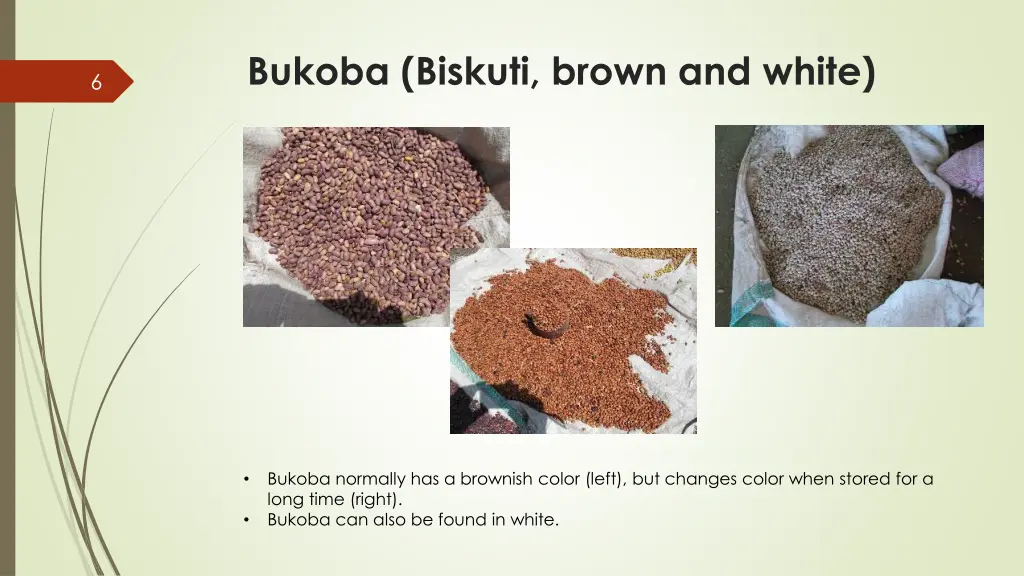 bukoba biskuti brown and white