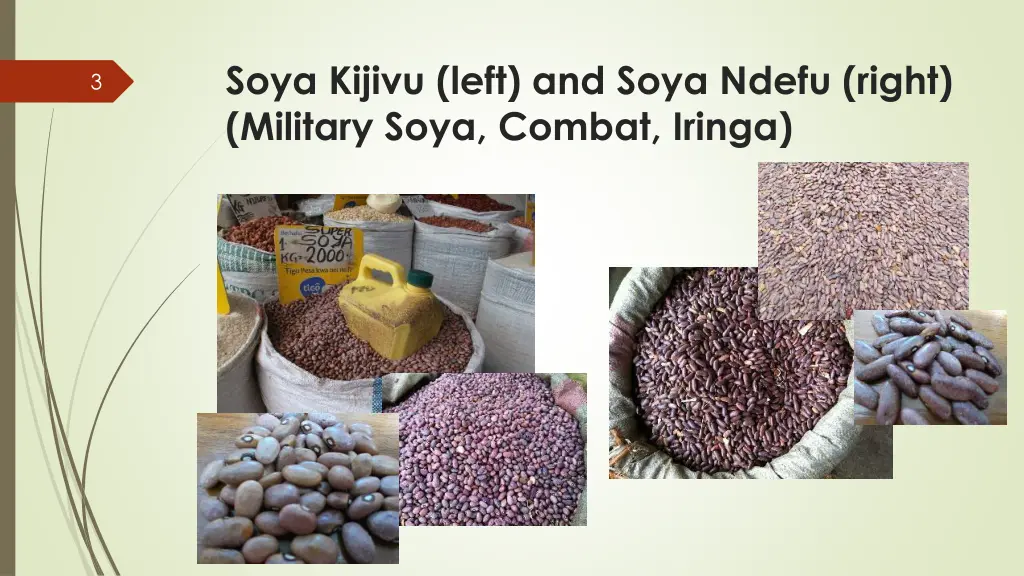 soya kijivu left and soya ndefu right military