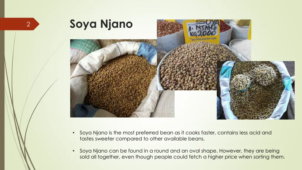 soya njano