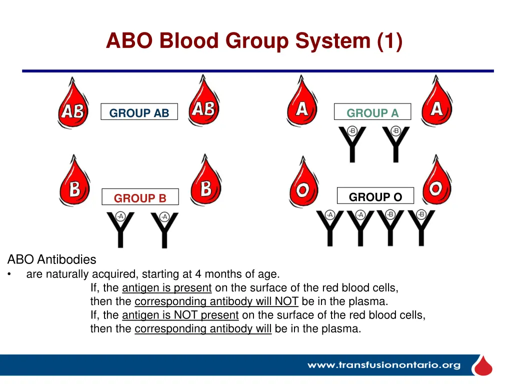 abo blood group system 1 1