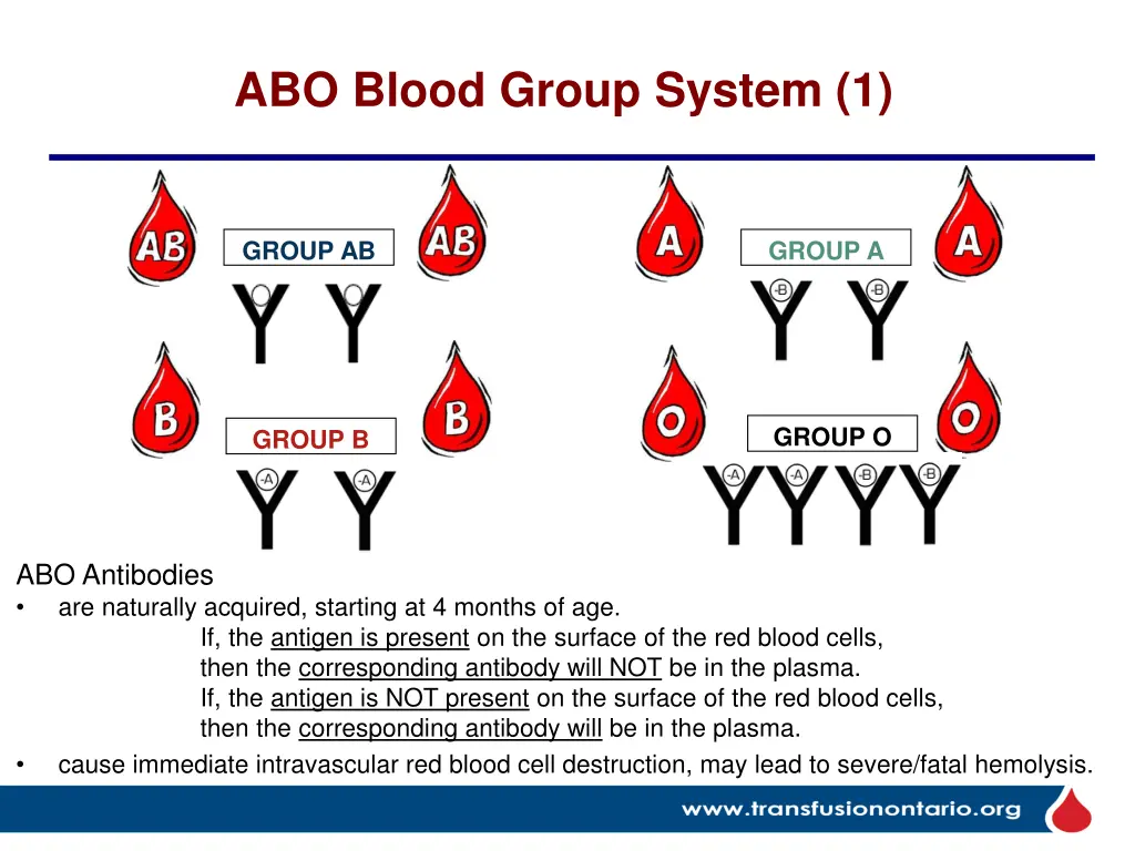 abo blood group system 1 2