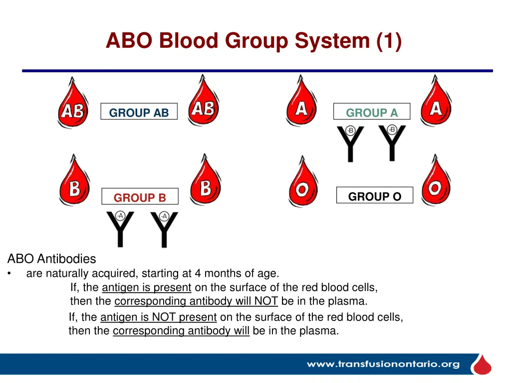 abo blood group system 1