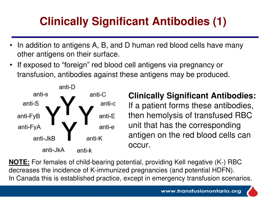 clinically significant antibodies 1