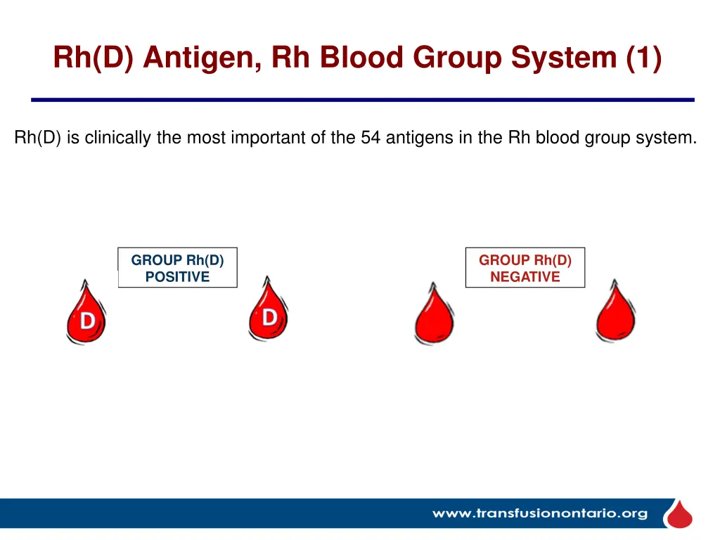 rh d antigen rh blood group system 1